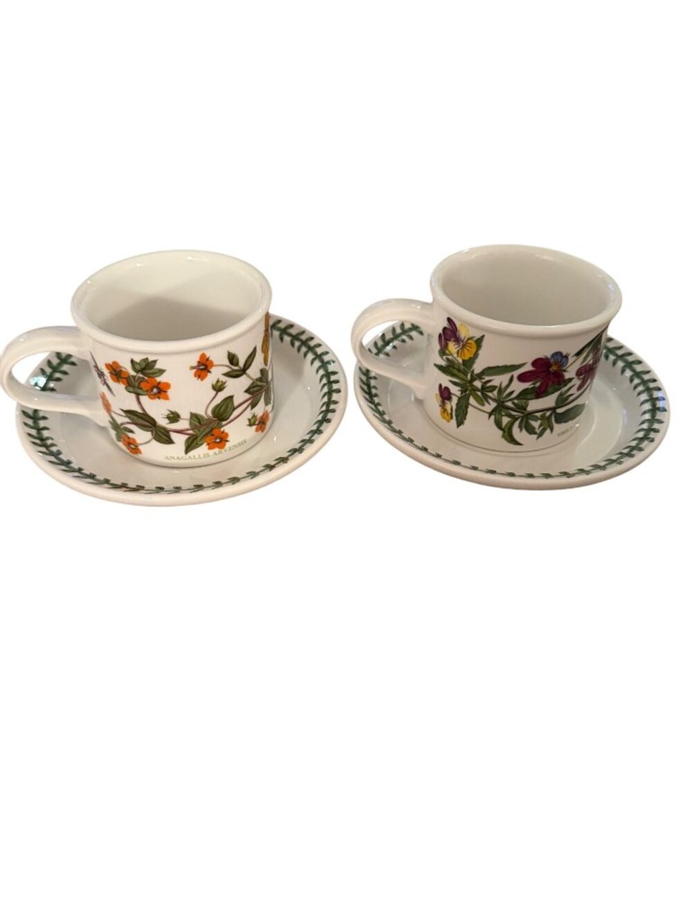 Portmeirion Botanic Garden Set of 2 Ceramic Drum Teacup and Saucer Multicolor